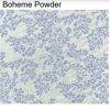 BOHEME-POWDER A