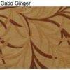 CABO-GINGER