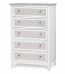 Captiva Island Grey Wash 5 Drawer Chest B86335 By Seawinds Trading