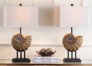 Nautilus Shell Lamp