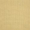 Sunbrella Canvas Spectrum Almond