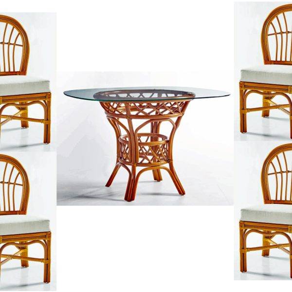Palm Harbor Dining Set with Side Chairs