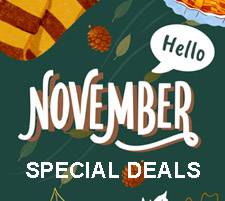 november sale