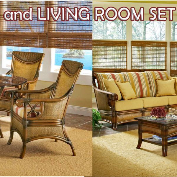 pacifica living room set and dining room set special offer